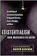 Existentialism from Dostoevsky to Sartre, Revised and Expanded Edition
