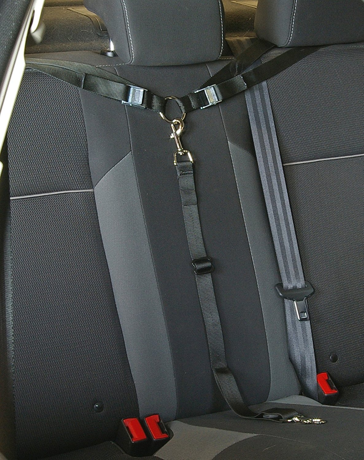Best dog car seat tether