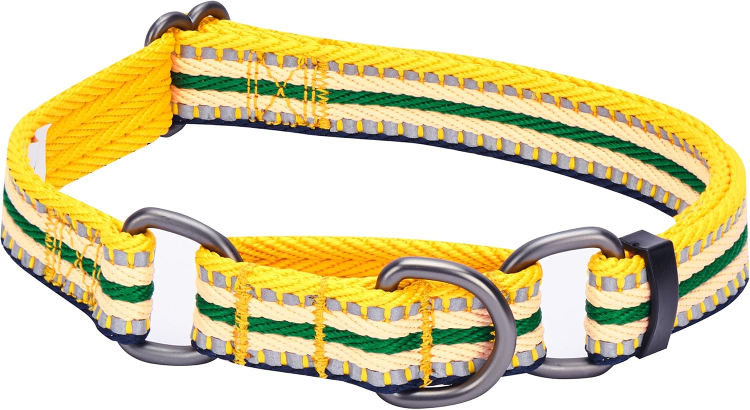 Blueberry Pet 3M Reflective Multicolored Stripe Safety Training