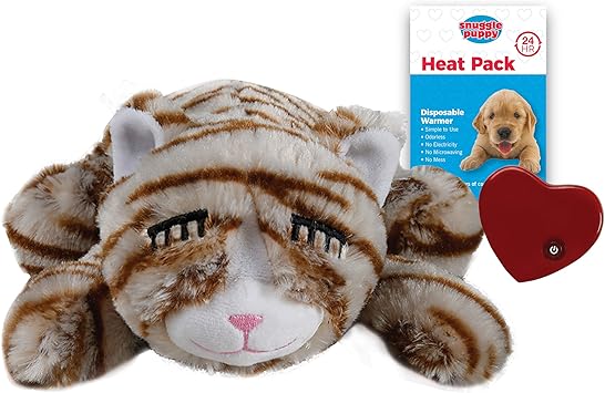 ingrown toenail on cat