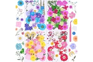 141Pcs Colorful Dried Pressed Flowers for Crafts,Xinxinran Dry Flowers Kit for Resin Molds,Epoxy Resin Accessories,Bookmark,Nails, Jewelry Molds,Candle Making Supplies,Soap,Frame(Mix Color)