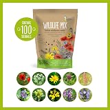 Seedball Wildlife Seed Bombs 100 Pack Bee Friendly Wildflower Mix view 2