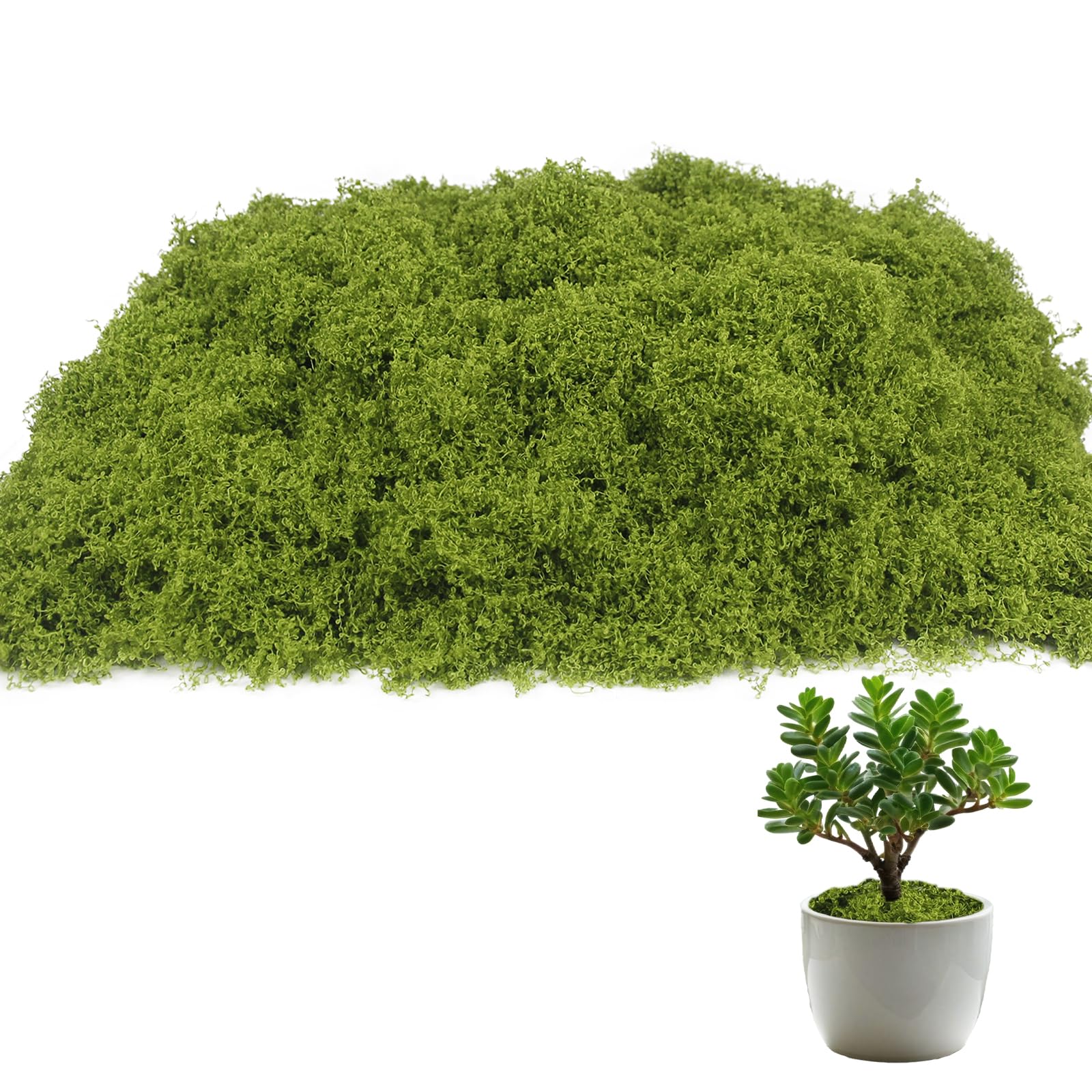 Photo 1 of ACRYCS Fake Moss for Potted Plants Indoor 10.6OZ Decorative Artificial Moss for Crafts Light Green Faux Moss for Fairy Garden Model Making Table Centerpieces Wedding Party Decor Glass Containers DIY
