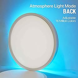 MELEGAN Smart Led Ceiling Light Flush Mount, 12