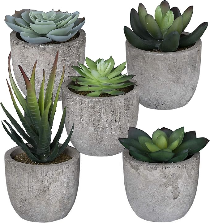 Set of 5 Artificial Succulent Plants with Pots