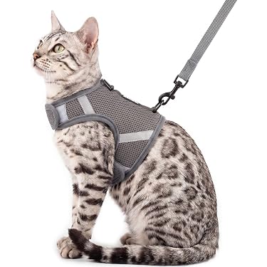 beautiful cat water fountain Spring Series Cat Water Fountain  Pet Pet Gifts