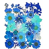 14 Types 37pcs Blue Dried Pressed Flowers for Resin Molds,YouthBro Real Natural Pressed Flowers for DIY Art Crafts,Candle Mak
