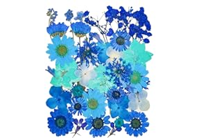 14 Types 37pcs Blue Dried Pressed Flowers for Resin Molds,YouthBro Real Natural Pressed Flowers for DIY Art Crafts,Candle Making, Nails Décor,Soap Making, Phone Case
