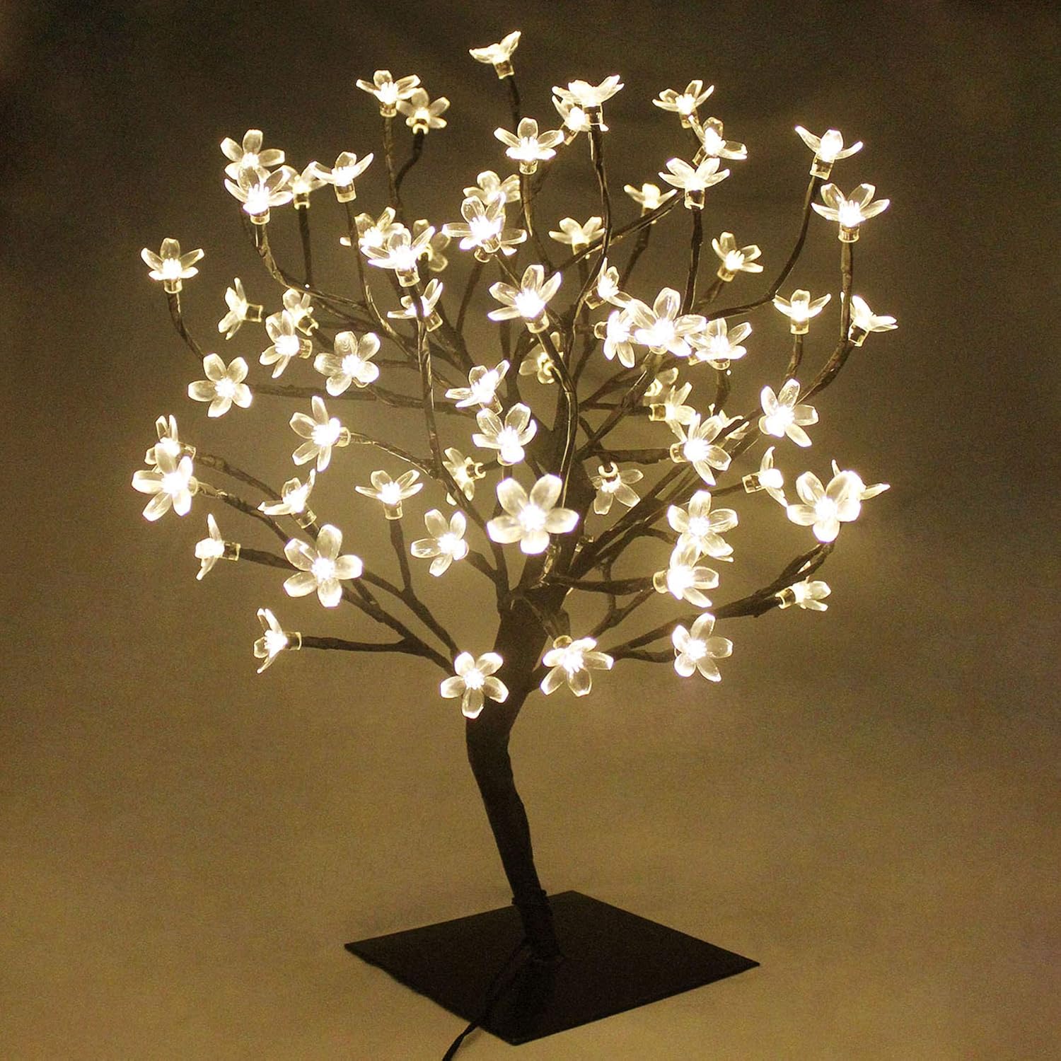 luce artificiale per bonsai
