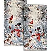Giwawa Winter Snowman Hand Towels Set of 2 Red Bird Berry Decorative Fingertip Towel Soft Absorbent Bath Towels for Bathroom Kitchen Hotel Spa