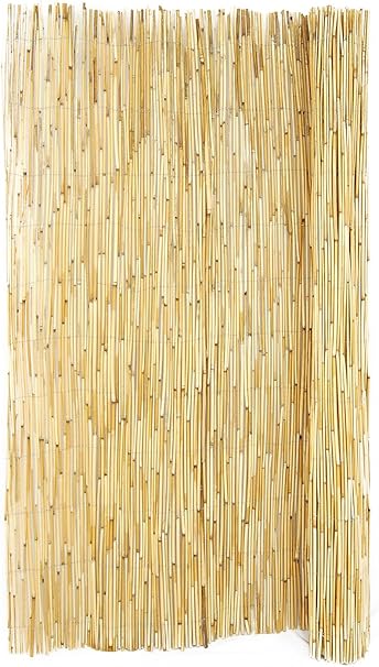 Amazon Com Backyard X Scapes Peeled Reed Fencing 6ft H X 16ft L