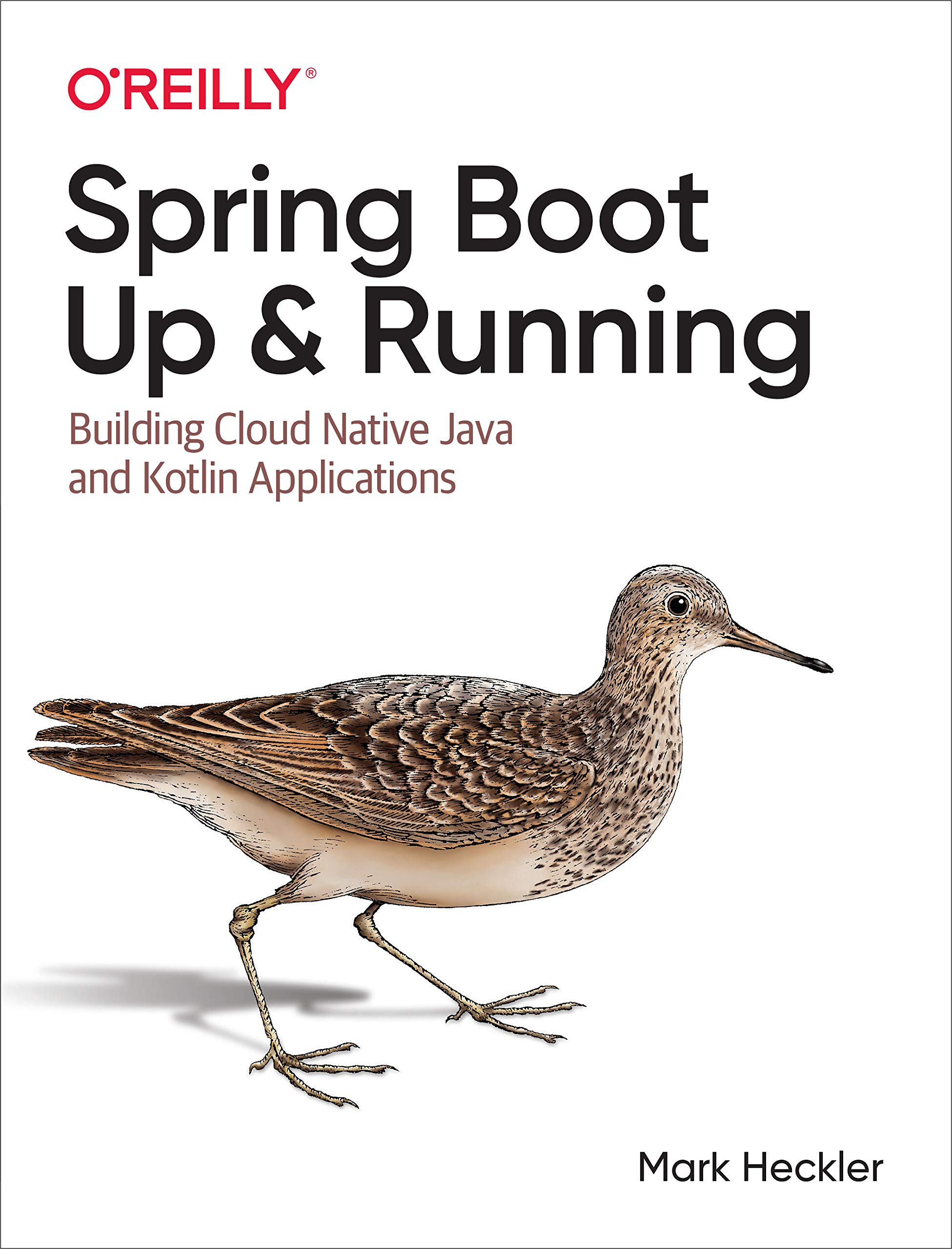 running spring boot