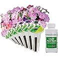 AeroGarden Cascading Petunia Flower Seed Pod Kit (6-pod)
