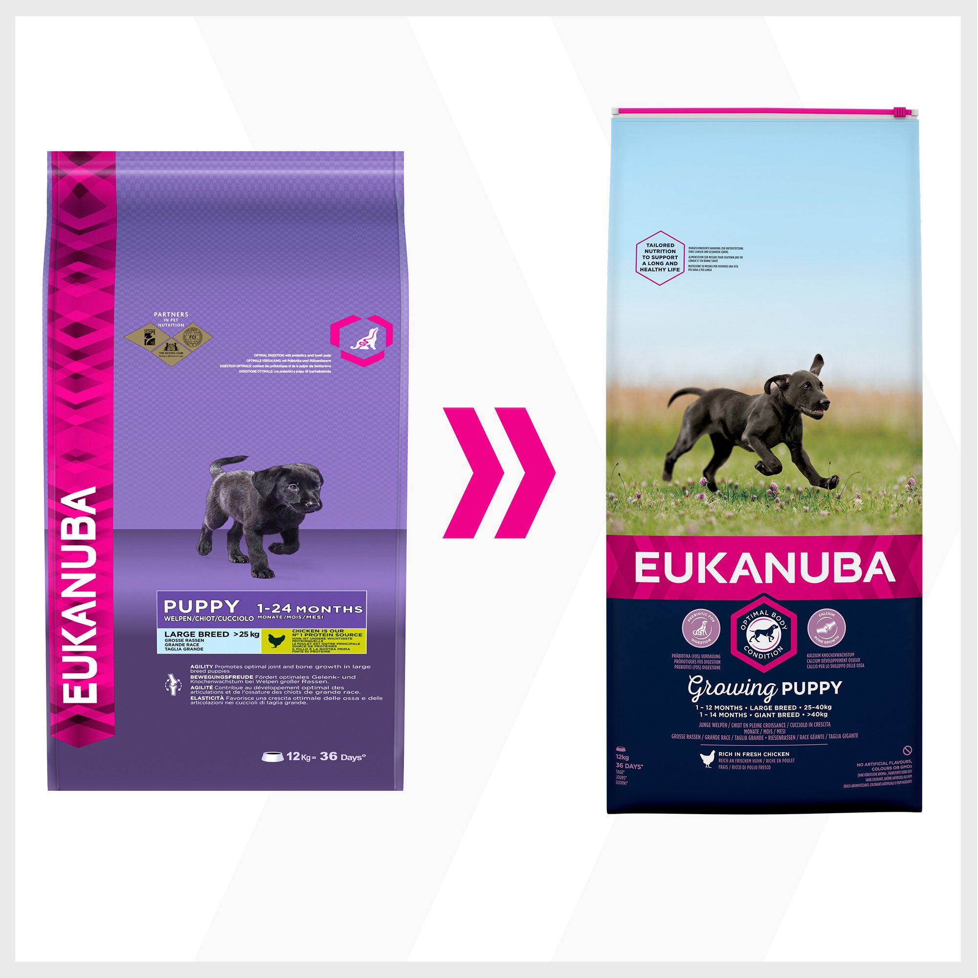 Eukanuba Puppy Dog Food for Large Dogs Rich in Fresh Chicken, 12 kg