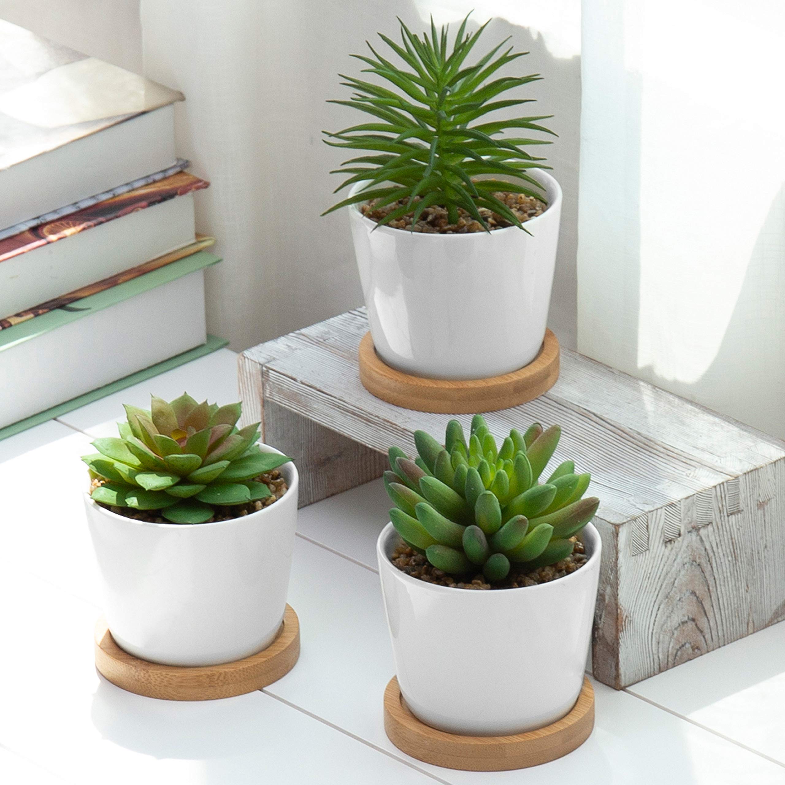 Photo 1 of **MISSING ONE***MyGift Assorted Artificial Succulent Plants - Decorative Fake Desert Plants with Pebble Fillers in White Ceramic Pots with Bamboo Saucers, Set of 3