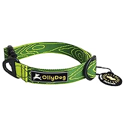 OllyDog Flagstaff Collar, Webbing Dog Collar with