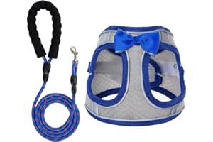 WOCUME Dog Harness with Leash Set, Step-in Breathable Puppy Cat Dog Vest Harnesses, No Pull Adjustable Reflective Puppy Harness with Soft Padded Vest for Extra-Small/Small Medium Large Dogs and Cats