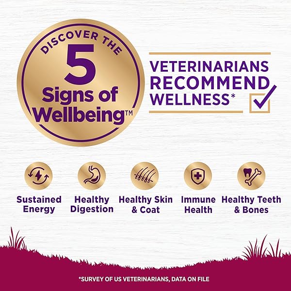 WELLNESS COMPLETE HEALTH DRY DOG FOOD, SMALL BREED, GRAIN FREE, NATURAL, TURKEY, CHICKEN, & SALMON RECIPE (4-POUND BAG)
