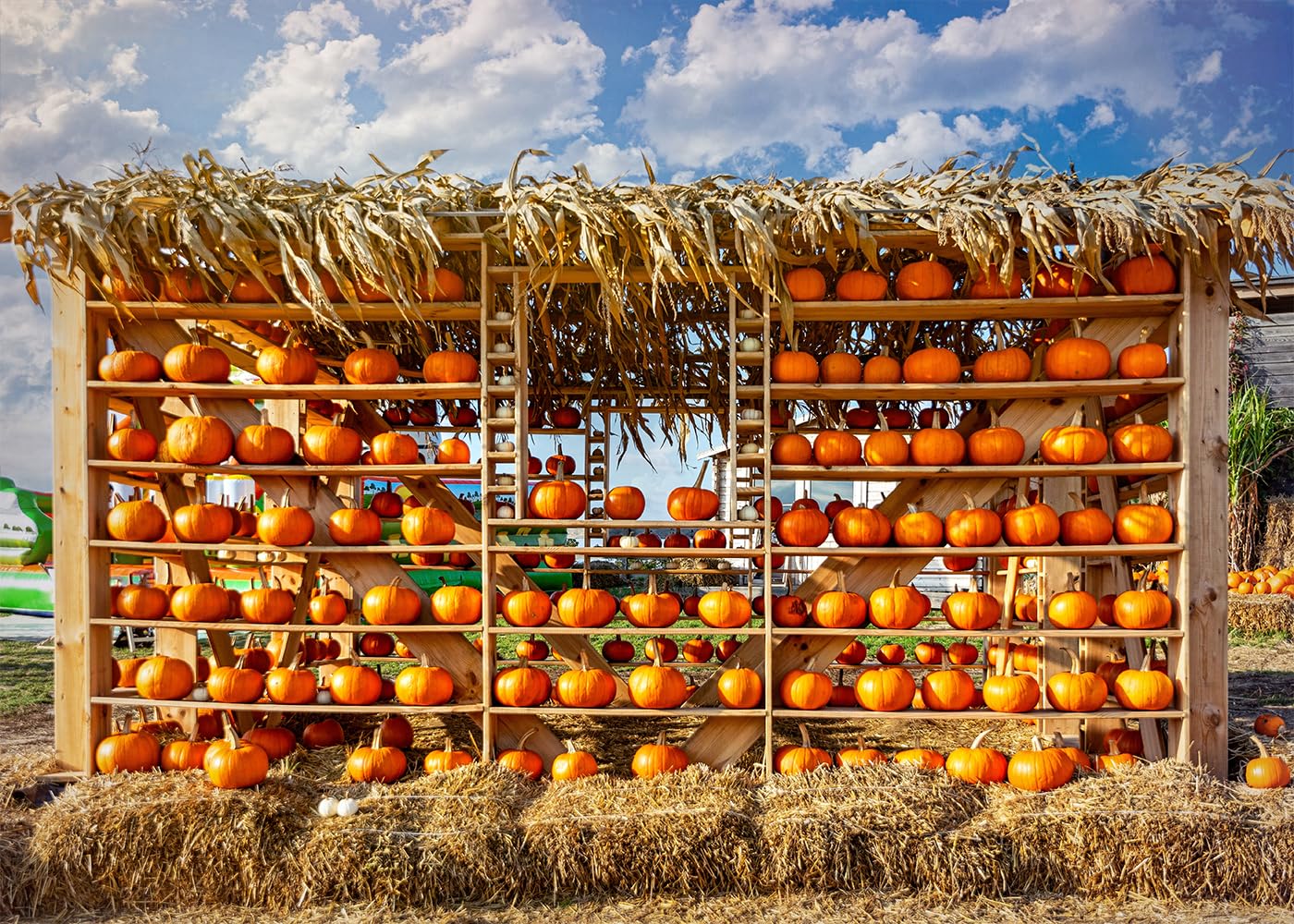 Photo 1 of DULUDA 7x5 FT Fall Pumpkin Backdrop Halloween Farmland Newborn Children Birthday Decorations