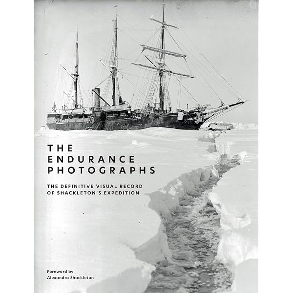 Amazon.com: South with Endurance: Shackleton's Antarctic
