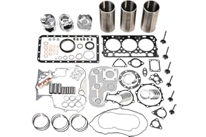 Eoiou Overhaul Rebuild Kit Fits for Kubota D902 Engine RTV900 RTV900G RTV900R RTV900T RTV900W Utility Vehicle KX41-3 Excavator BX25 BX25 Tractor
