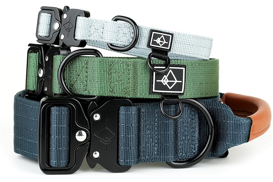 Made to ROAM Premium Dog Collar - Adjustable Heavy Duty Nylon Collar with Quick-Release Metal Buckle (Colorado Nightsky, Classic Size 4)