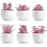 Der Rose Set of 6 Pink Succulents Plants Artificial in Pots Small Fake Plants for Girls Pink Room Decor Office Desk Accessories for Women