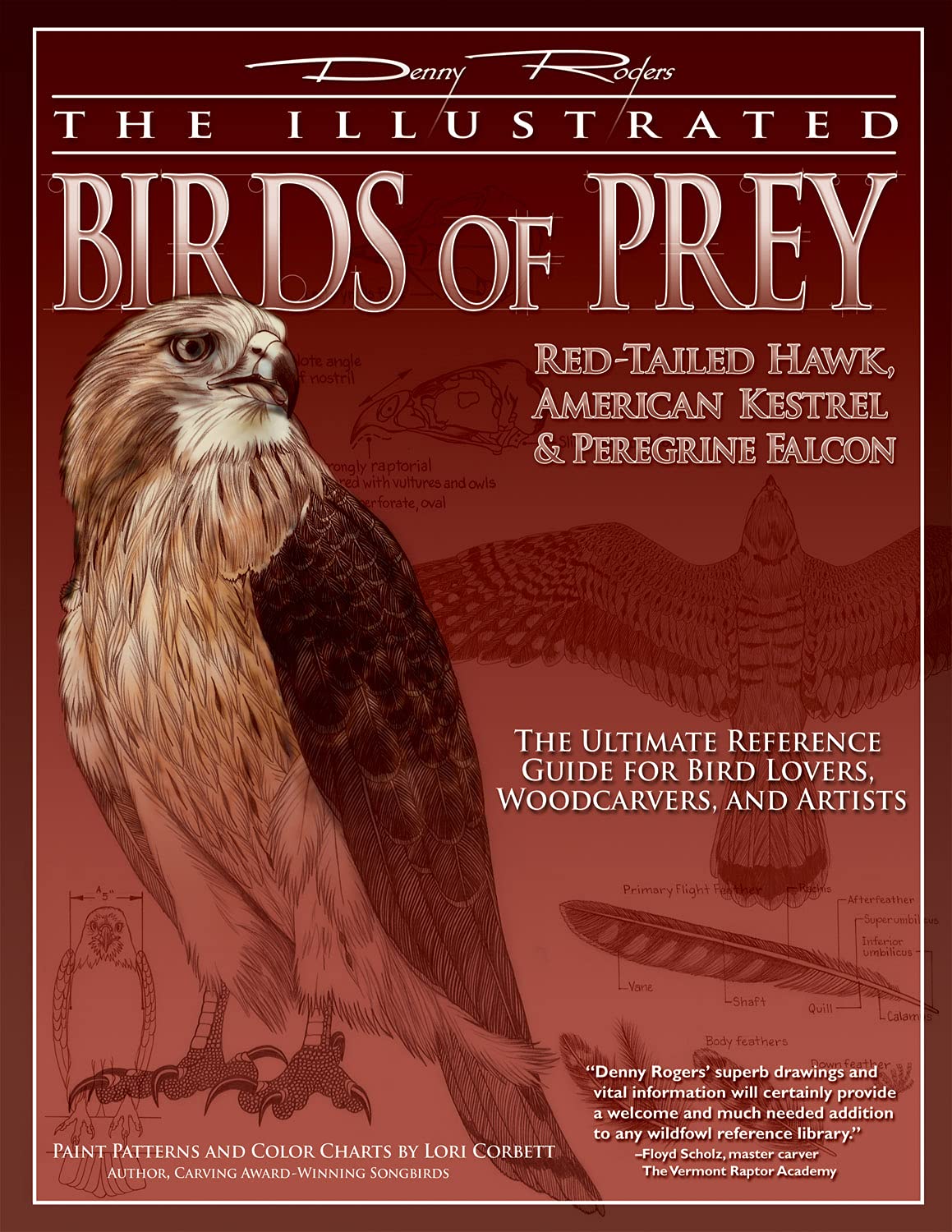 Illustrated Birds Of Prey Red Tailed Hawk American Kestral Peregrine Falcon The Ultimate Reference Guide For Bird Lovers Woodcarvers And Artists Fox Chapel Publishing Denny Rogers Lori Corbett Amazon Com Books