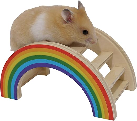 rainbow hamster