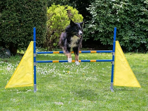 Procyon Profi Agility Hürde HundeTrainingSet höhenverstellbar FCI