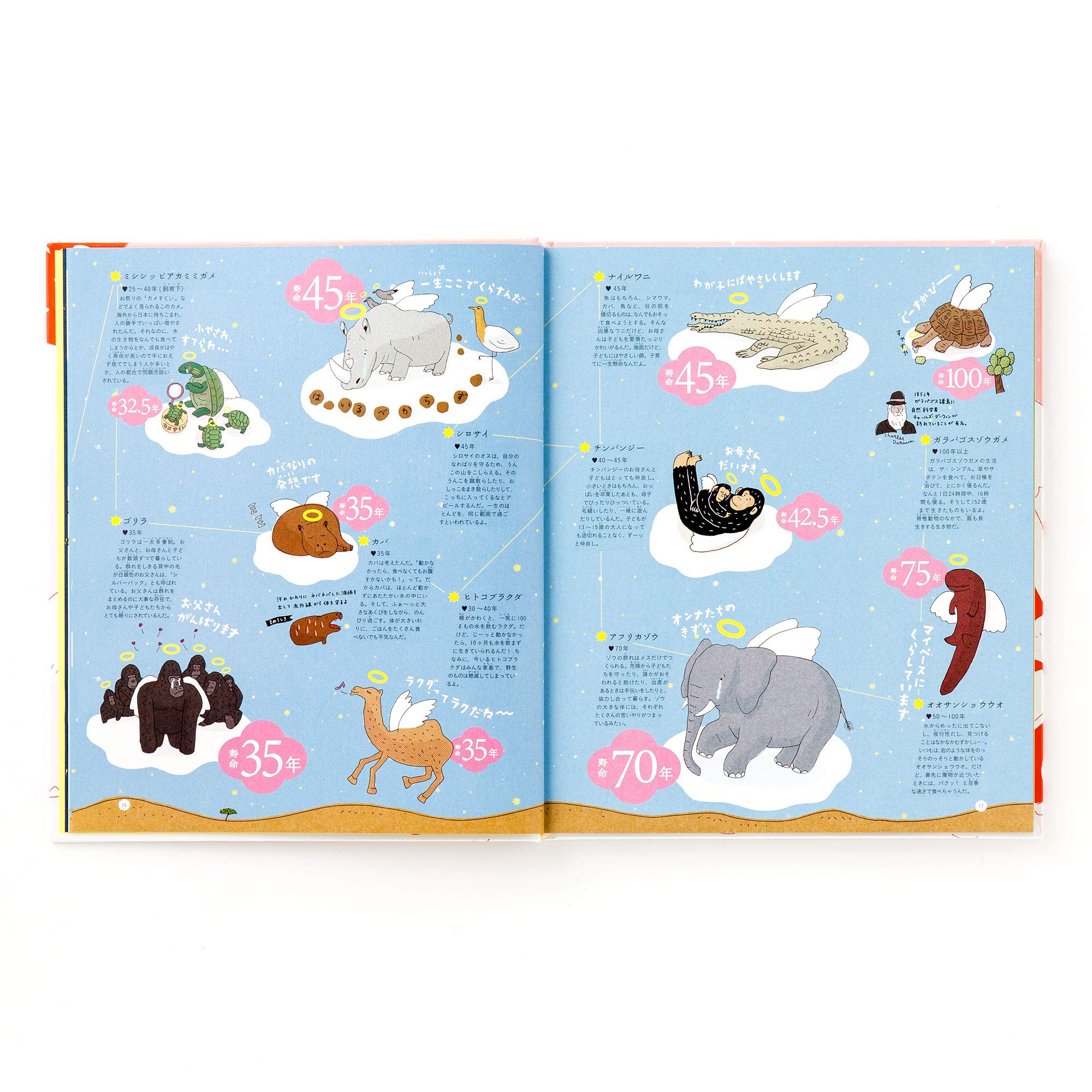 寿命図鑑 生き物から宇宙まで万物の寿命をあつめた図鑑 やまぐちかおり 本 通販 Amazon
