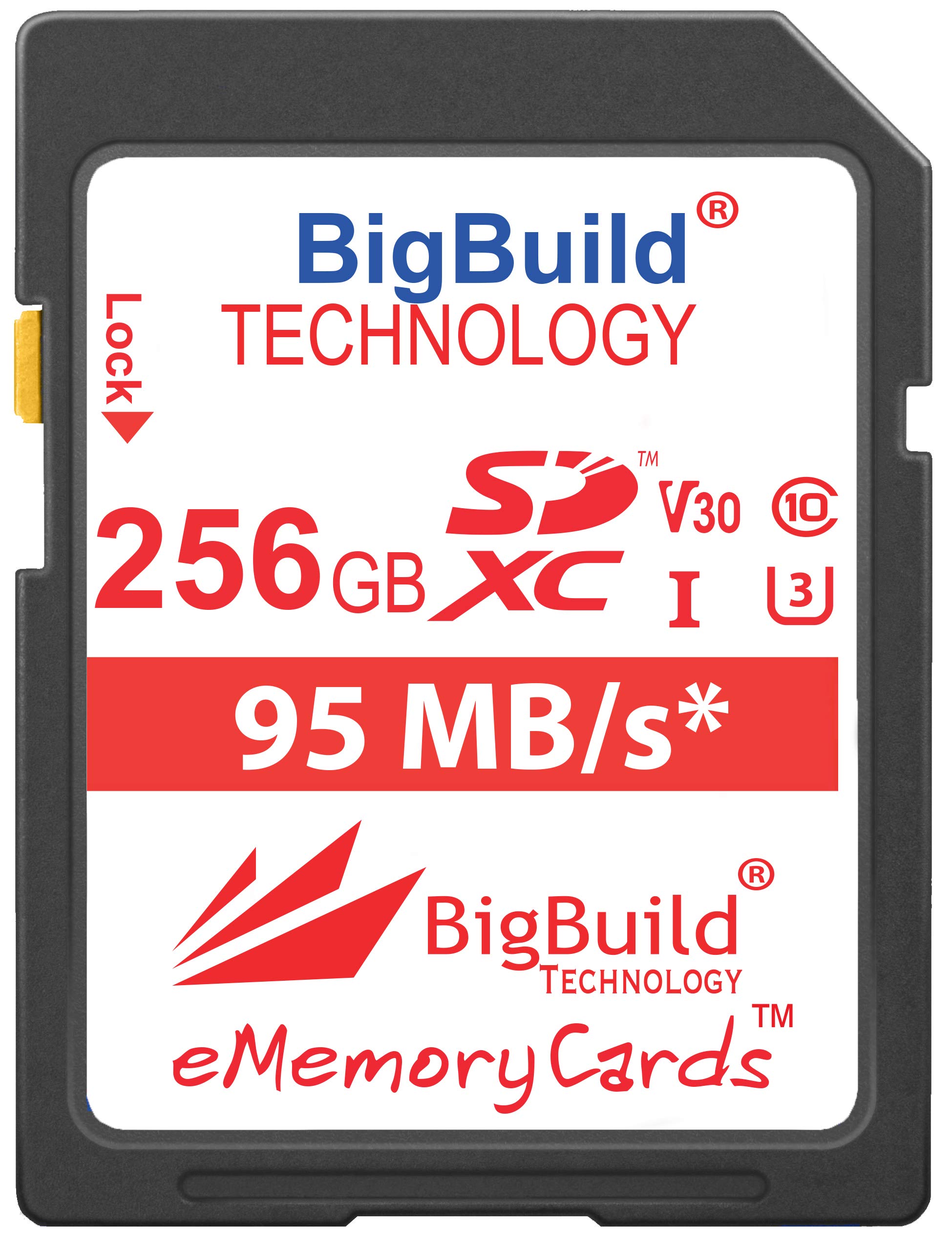 BigBuild Technology 256GB UHS-I U3 95MB/s Memory Card For Nikon 1 J1, S1, V2, Nikon COOLPIX A10, A100, A300, A900, AW130, B500, B700, P1000, P900, W100, W300 Camera