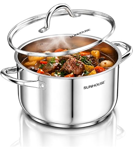 Amazon.com: Schulte-Ufer Wega 64066-20 Stainless Steel Stockpot