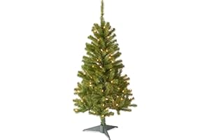 National Tree Company 4 ft Pre-Lit Grande Canadian Fir Mini Artificial Christmas Tree, 100 Clear Lights, 230 Tips, Includes Stand, Green