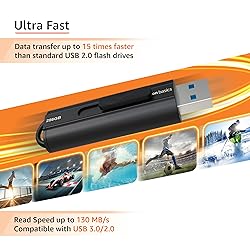 Amazon Basics 256 GB Ultra Fast USB 3.1 High