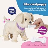 BABY born My Dog Lucky with Pet Carrier view 5