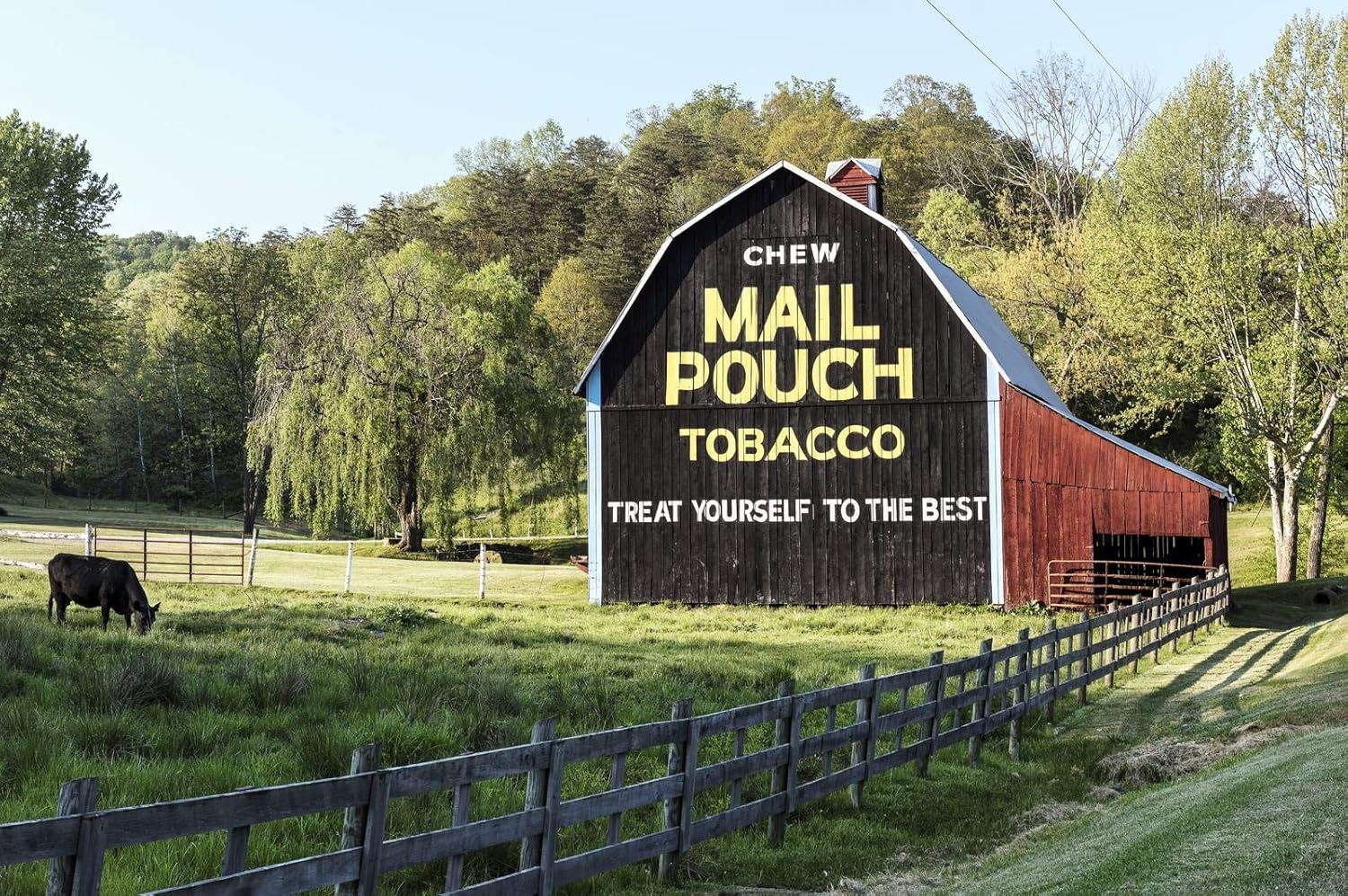 Amazon Com Historic Pictoric Jackson County Wv Photo Freshly