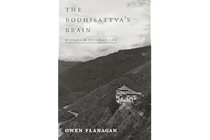 The Bodhisattva's Brain: Buddhism Naturalized (Mit Press)