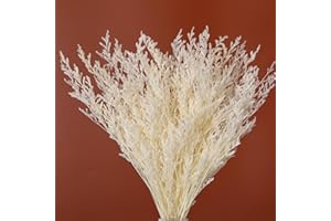 JTODER Dried Flowers Bouquet, Dry Caspia Flower Bundle, Floral Lavender, Babys Breath Flowers Arrangements for Wedding Decor, Door Wreath, Home Party Table Vase Decoration (White, 17'')