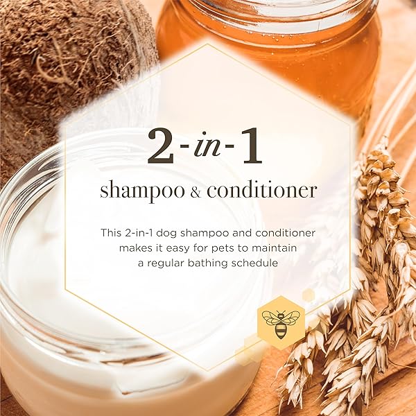 BURT’S BEES FOR PETS SHAMPOO AND CONDITIONER WITH MILK AND HONEY, 98.2% NATURAL ORIGIN FORMULAS, DOG SHAMPOO PLUS CONDITIONER, GENTLE DOG CONDITIONER, BEST DOG CONDITIONER FOR ITCHY DOGS, 12 OZ