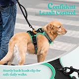 rabbitgoo Dog Harness Small No Pull Reflective Adjustable Vest Black Mintgreen view 7