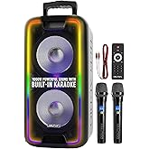 Dolphin Dual 10" Bluetooth Party Speaker - 1000W Big Speaker with 2 Wireless Microphones, Powerful Bass, Multicolor LED Lights, Tailgate Ready, Portable with Wheels & Handle, Long-Lasting Battery