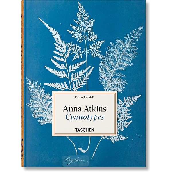 Encyclopaedia Aethiopica: A-C (1): Uhlig, Siegbert: 9783447047463