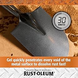 Rust-Oleum Rust Dissolver Trigger Spray Gel