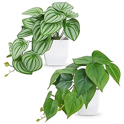 Der Rose 2Pcs Small Fake Plants Artificial Mini