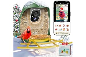 HIXX Smart Bird Feeder with Camera, AI Identify Birds & Auto Capture, 2K HD Live Camera Birdwatching with Color Night Vision for Bird Lovers Gifts (Green)