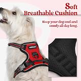 rabbitgoo Small Dog Harness No Pull Reflective Front Back Leash Clips Red XS view 3