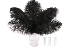 SOGUGOM Black Craft Ostrich Feathers - 30PCS 6-8 inch Ostrich Feathers Kit for Centerpieces, Kindergarten Crafts, Dream Catchers and DIY Projects(Black)