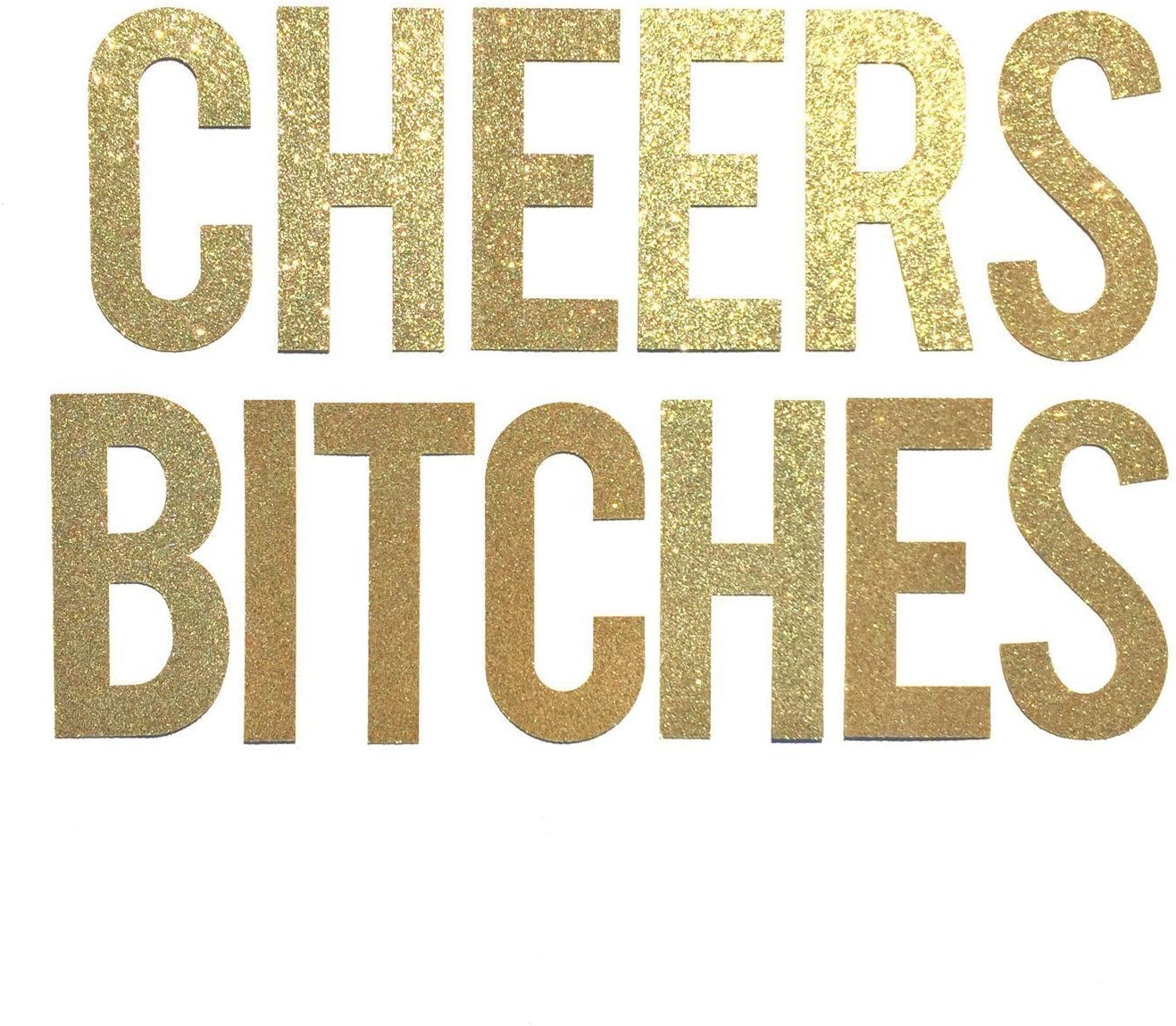 Cheers Bitches Banner // Bachelorette Party Decoration // Cheers Bitch Sign // Birthday Banner