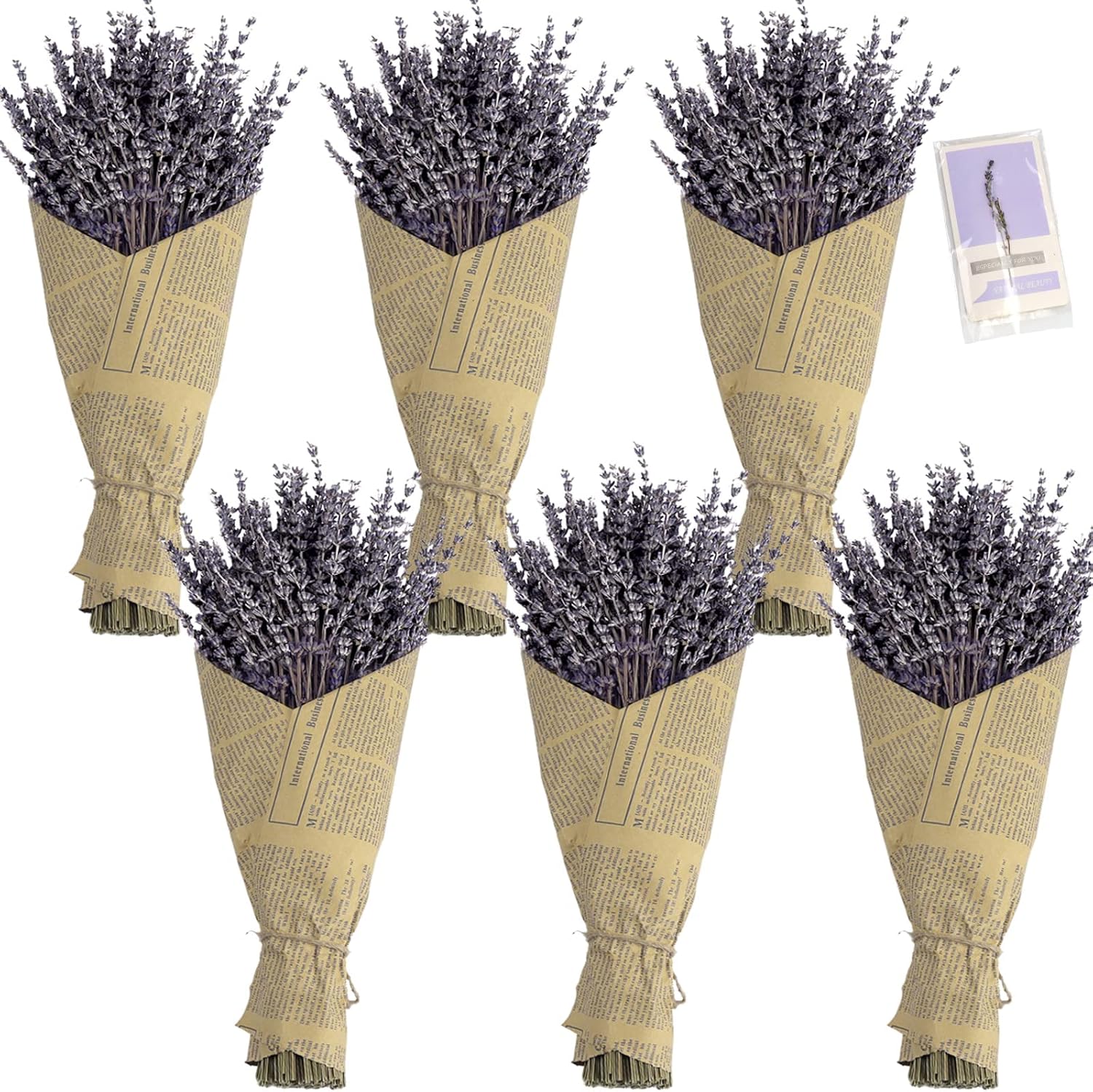Dried & Preserved Flora - 6 Pack Dried Lavender Bundles,Natural Dried Lavender Flowers Bouquet with Stems -Greate Home Fragrance Product for Decoration/Wedding/Party/Herbs/Sprigs for Cocktails | Length 14-17 inches